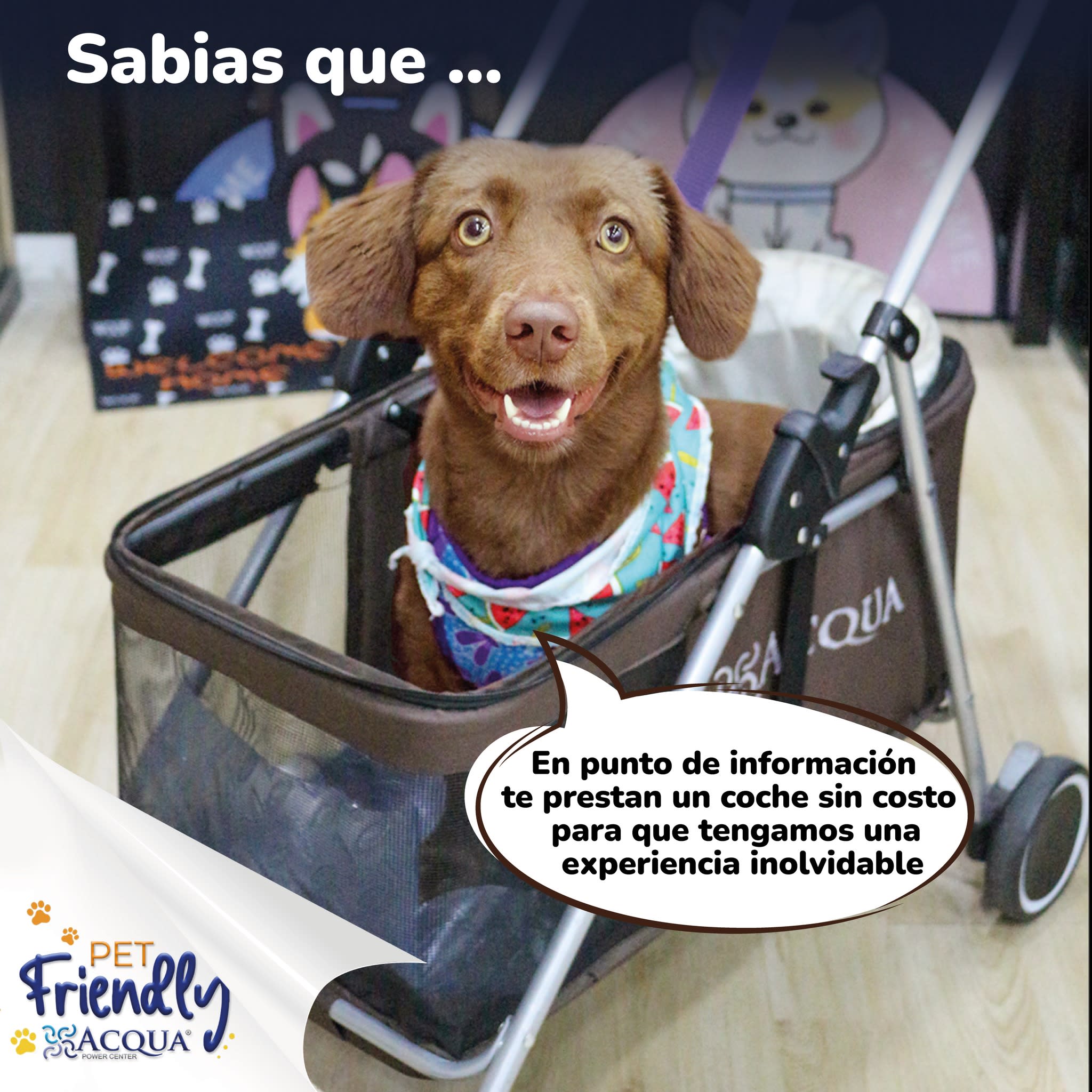zonas pet 4